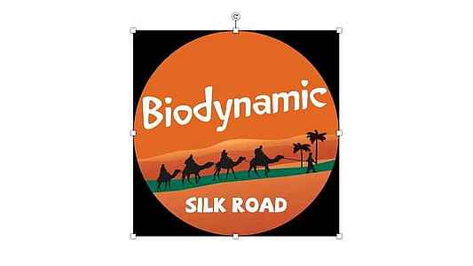 Biodynamic Silkroad Logo